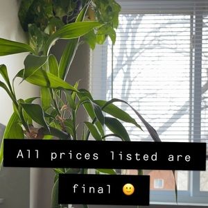 All prices listed are final 🙂